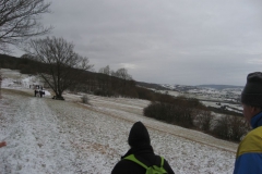meissner_2013_39_20130211_1640339519