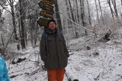 meissner_2013_3_20130209_1885799353