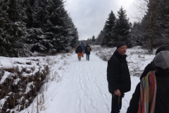 meissner_2013_6_20130209_1213342598