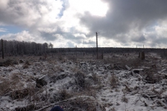 meissner_2013_9_20130209_2086330455