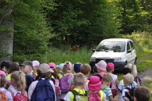 Kindergartenevent 3
