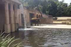 hannover_zoo_2015_23_20150712_1772591652