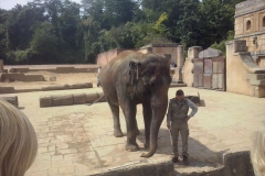 hannover_zoo_2015_25_20150712_1975104035