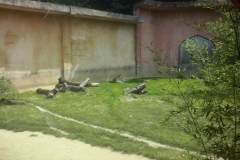 Hannover Zoo