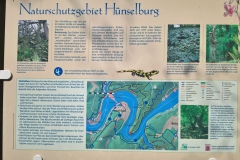 knorreiche_21_20170415_1940784511