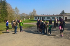 knorreiche_2_20170415_1843260798