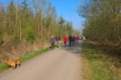 knorreiche_3_20170415_1176970028