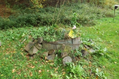 Wanderung-Waldspielplatz Beicoerle