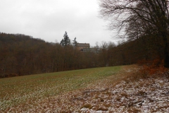 burg_hessenstein_18_20190209_2070018725