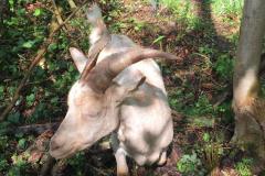 IMG-20200502-WA0002