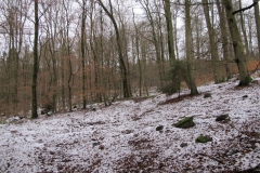 schauenburg_2_20150331_1590738004