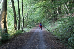 Mountainbiking: Diemel-Reinhardswald