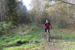 donnebachtal_reinhardswald_3_20150331_1602851651