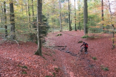 donnebachtal_reinhardswald_4_20150331_1158457697
