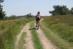 hochheide_sauerland_10_20150331_1478568055