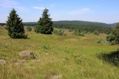 hochheide_sauerland_14_20150331_1968259078