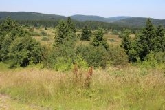 hochheide_sauerland_15_20150331_1617266396