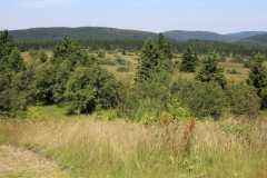 hochheide_sauerland_16_20150331_1316097435