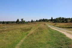 hochheide_sauerland_19_20150331_1159546419