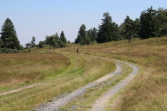 hochheide_sauerland_20_20150331_1611022812