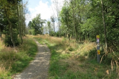 Mountainbiking: Hochheide-Sauerland