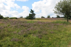 hochheide_sauerland_4_20150331_1104679498