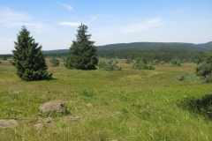 hochheide_sauerland_6_20150331_1189108451
