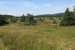 hochheide_sauerland_7_20150331_1268245442