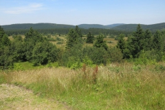 hochheide_sauerland_9_20150331_1138326003