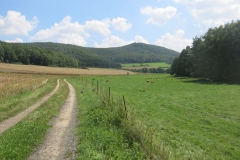 Mountainbiking: Zierenberg-Warmetal-Habichtswald