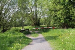 ederauen_fritzlar_hemfurth_21_20150331_1190156221