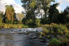 Radwandern: Ederauen-Radweg