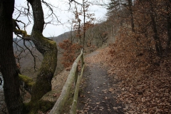edersee_15_20150331_1277922234