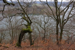 edersee_3_20150331_1539058688