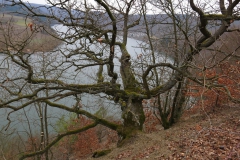 edersee_6_20150331_1460434845