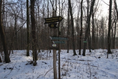treffurt_11_20150331_1027487948