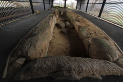 Ur- und Frühgeschichte des Steinkammergrabs