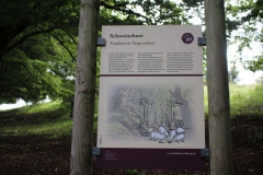 doernberg_alpenpfad_jaegerpfad_3_20150331_1739657421