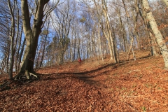 asbach_6_20150331_1914316768