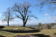 burg_hanstein_5_20150331_1627119947