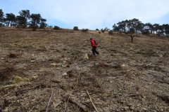 dietenroder_klippen_13_20150331_1259688484
