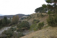 dietenroder_klippen_4_20150331_1119889992