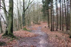 teufelskanzel_15_20150331_1836108013