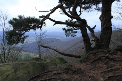 teufelskanzel_16_20150331_1656484057