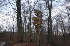 vatterode_10_20150331_1668839491