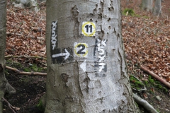 vatterode_6_20150331_1512552928