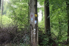 habichtswaldsteig_17_20150331_2089265039