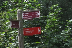 habichtswaldsteig_5_20150331_2026934452