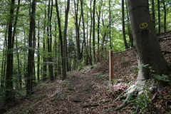 habichtswaldsteig_8_20150331_1068540510