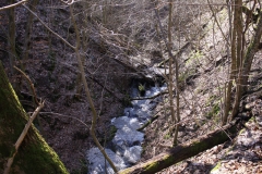 Wandern im Kellerwald: Odershausen